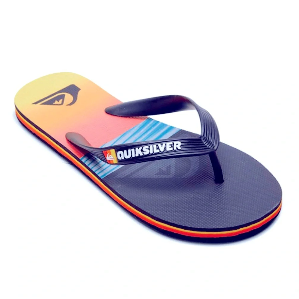 Quicksilver Molokai Panel